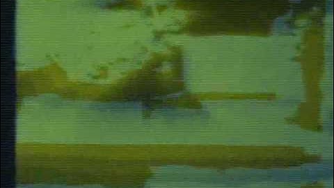 Camera Genlock and Feedback