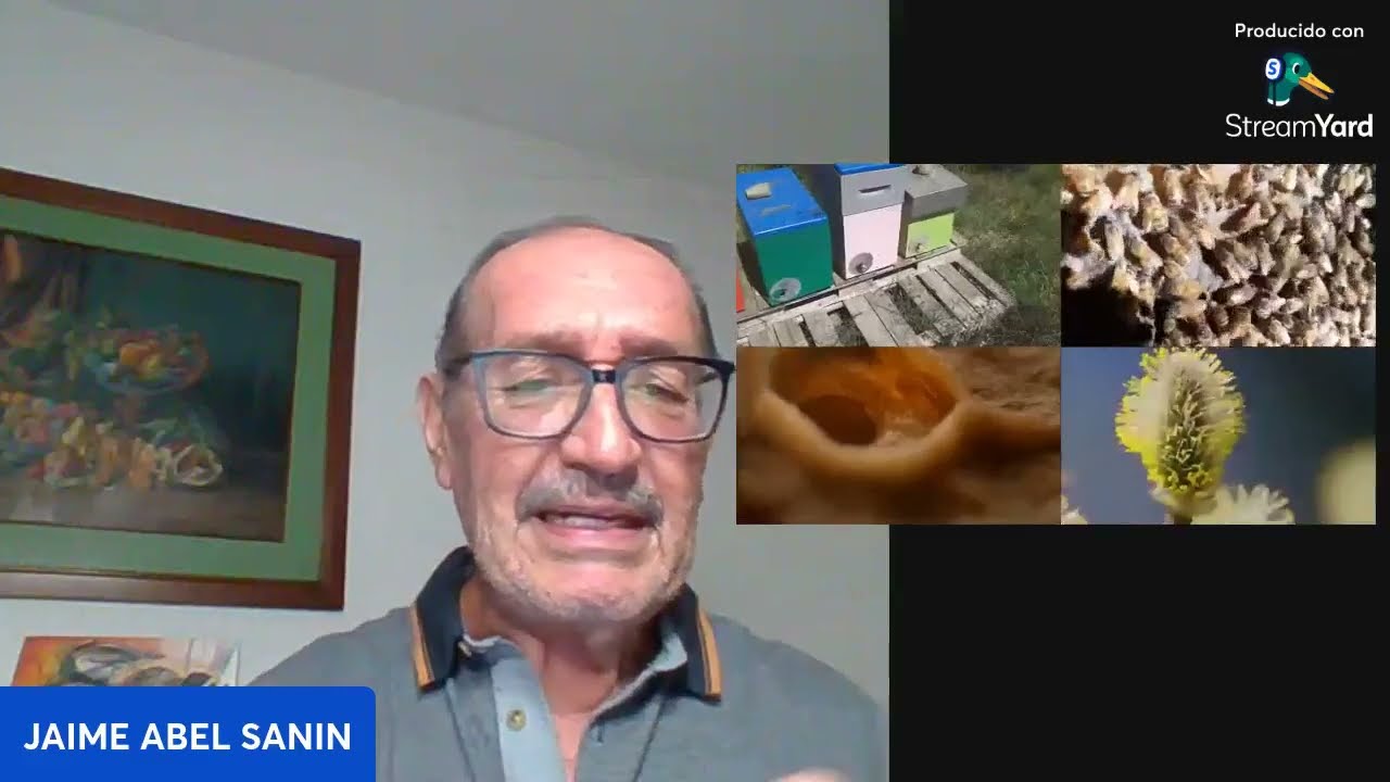 IMPERDIBLE: Analizamos la gran mayoria de las abejas de Europa, America y Asia y sus problemas