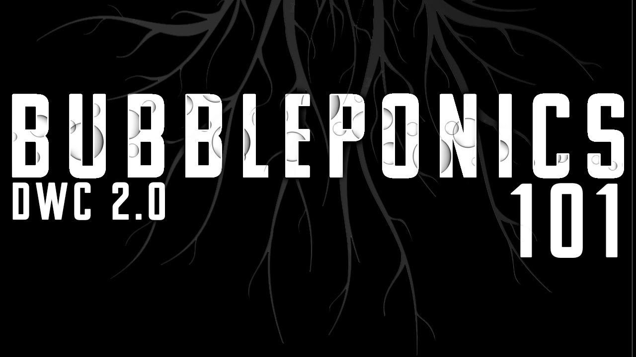 Best Hydroponic Garden For Beginners | Bubbleponics 101