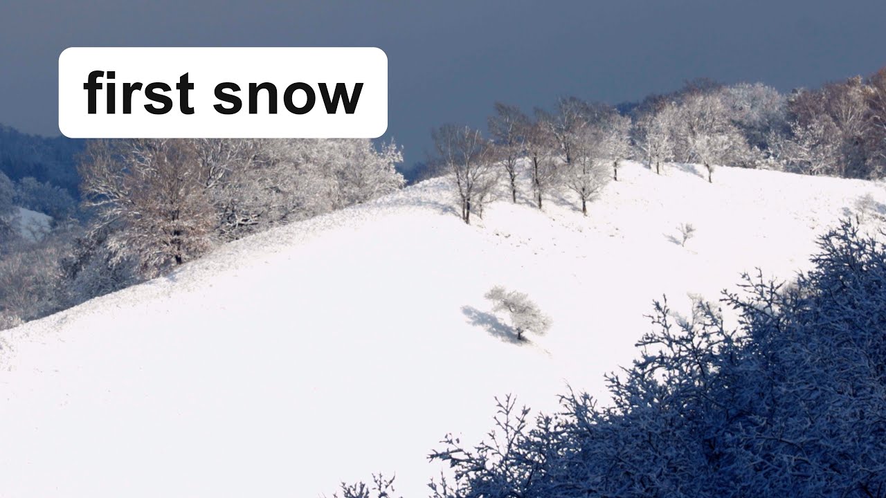 #13 clearing the tiny house and first snow - YouTube