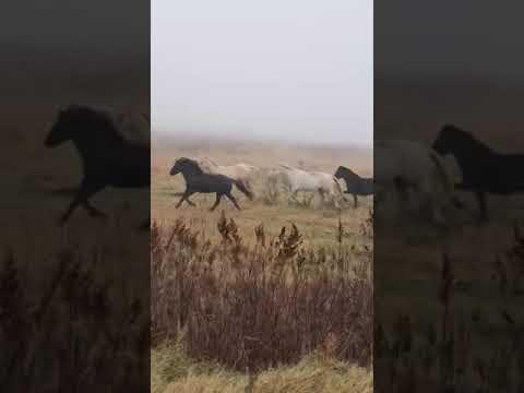 Красота Дальнего Востока #fareast