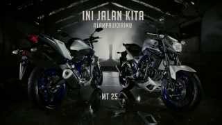 Yamaha MT 25  Video