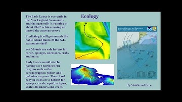 Going With The Flow - Google Slides