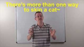 Learn English: Daily Easy English Expression 0790: more than one way to skin a cat