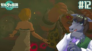 【ゼルダの伝説 ティアーズ オブ ザ キングダム #12】デスマウンテンでゼルダ姫が違法薬物をさばいてるはなし【EquuStream V#284】