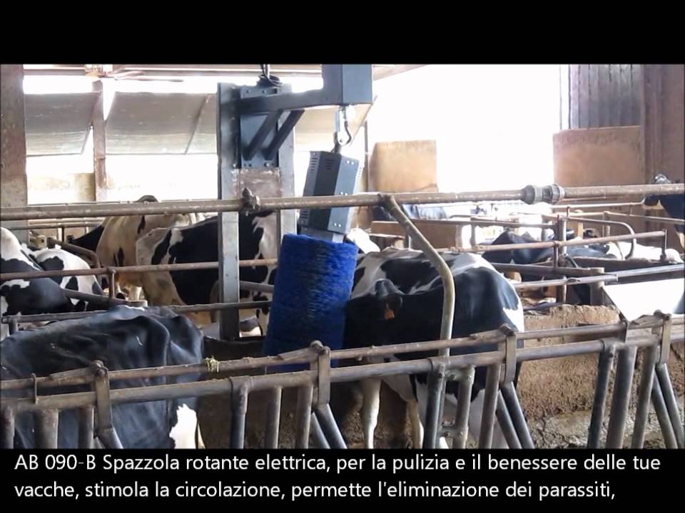 Resastore Spazzola Rotante