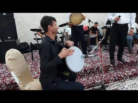 Hamidbek Qodirov #buxorocha tuyda doira & dovul & gitara bazmi supper bomba boldi tuy