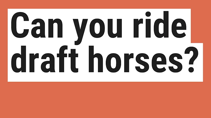 Can you ride draft horses?