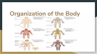 MBC 101 Unit 2 Video Lecture