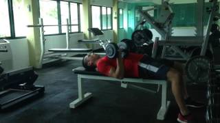 DB Rotating Press