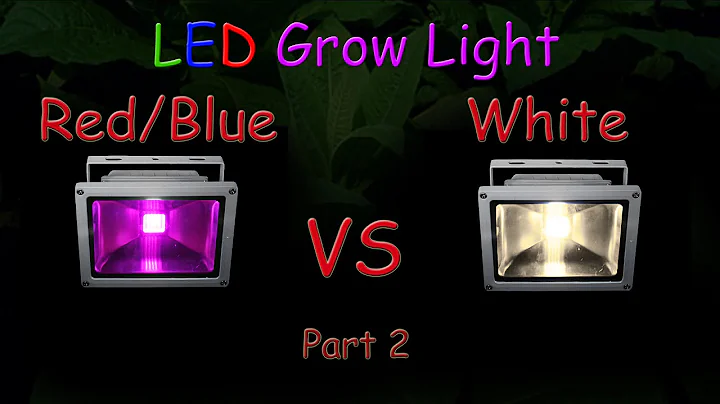 White LED vs Red/Blue LED Grow light Grow Test - Part 2 (The Grow Results!) 2016