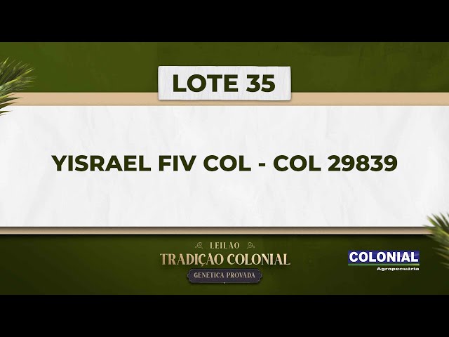 LOTE 35   COL 29839   YISRAEL FIV COL