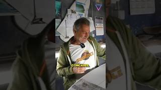 Concaves: speed and why too much on the tail can be bad for average surfers #surfing #surf