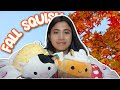 Five Below Squishmallow Drop | Fall squishmallow!