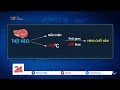 TP HCM cấp tập ngăn dịch tả lợn châu Phi
