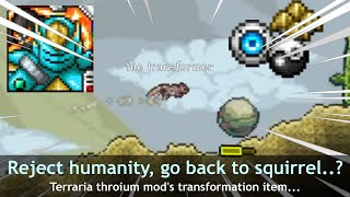 Becoming Transformer in Terraria, with Thorium mod..?