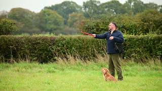 Details Ez-Throw 3 Clay Target Thrower - Available at Sporting Saint Guide