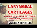 LARYNGEAL CARTILAGES - 2 (LARYNX - PART 3)