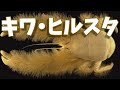 【キワ・ヒルスタ】~自給自足、食料栽培するカニ~