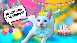 La HISTORIA Completa de Gato Rescatado MILKY y  su CUMPLEAÑOS!