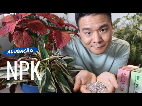 Vídeo: Qual npk é melhor para plantas?
