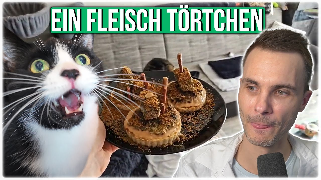 Katzenkuchen selbst gemacht- mit Rezept und Anleitung