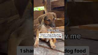 10shares=a chance to a meal of dog food,DONATE PLEASE