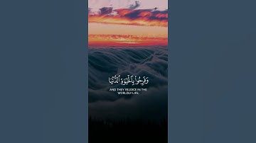 سورة الاعراف للقارئ ماهر المعيقلي #quran #اكسبلور #المصحف #لايك #ماهر_المعيقلي #دويتو  #حالات_واتس
