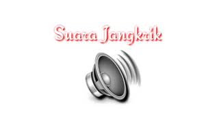 Effect Sound Suara Jangkrik || krik krik krik garing