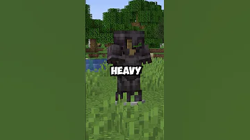 What If Minecraft Armor Made You Heavier?
