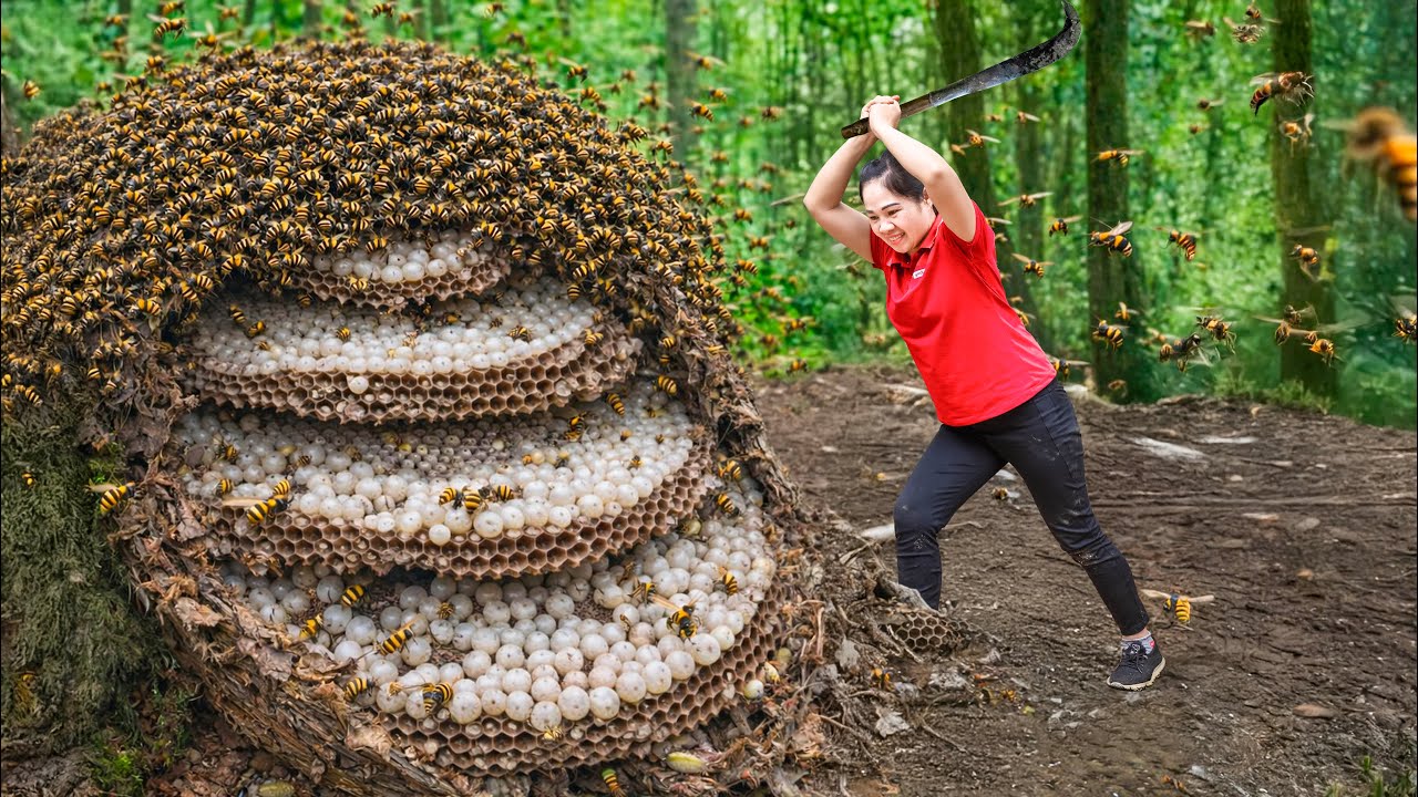 Harvest 1000+ Giant Devil Beehive After 6 Month | Selling Honey at Local Market