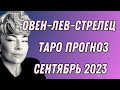 СЕНТЯБРЬ 2023: таро прогноз Овен / Лев / Стрелец от Анны Ефремовой