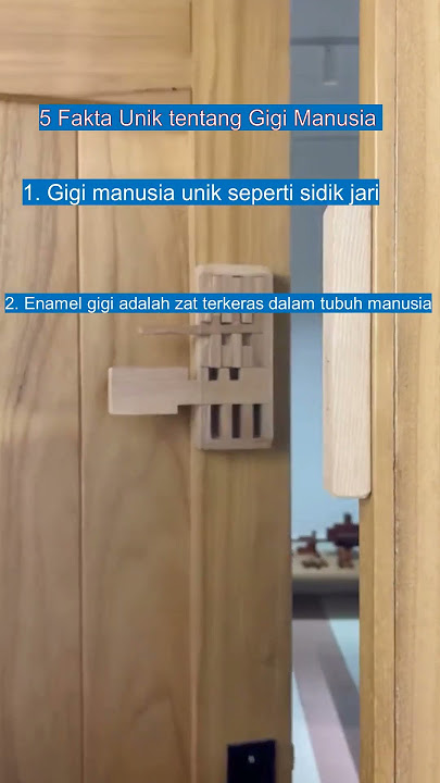 View unik gigi anda