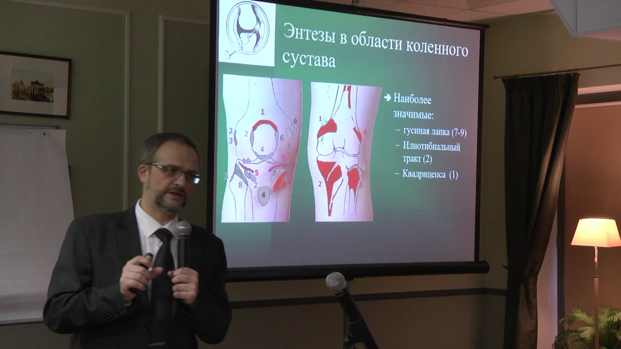 жиляева светлана викторовна. жиляева психотерапевт. жиляева татьяна владимировна нижний новгород психотерапевт. яна жиляева форбс. жиляев андрей геннадьевич.