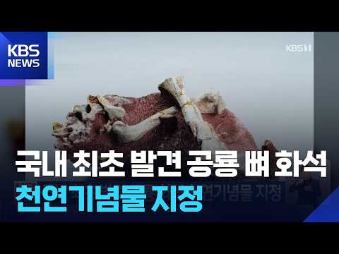 First Dinosaur Fossil Found in Korea Designated as Natural Monument / KBS 09.04.2026.