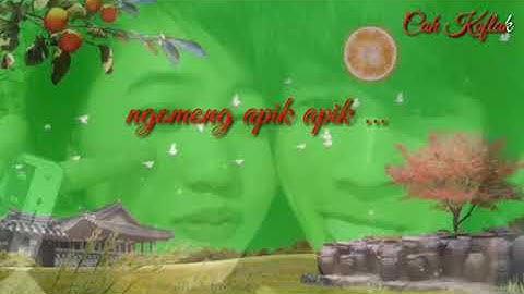 Ngomong apik apik