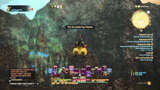 FINAL FANTASY XIV Heavensward: Fat Chocobo flying!