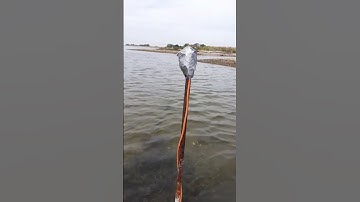 Mineral Accretion Experiment with Simple Equipment