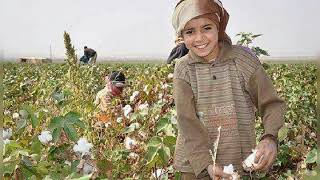 جايلك بمد ايدى