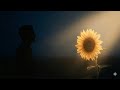 Sunflower Theory: Why You Grow Around the Right People.