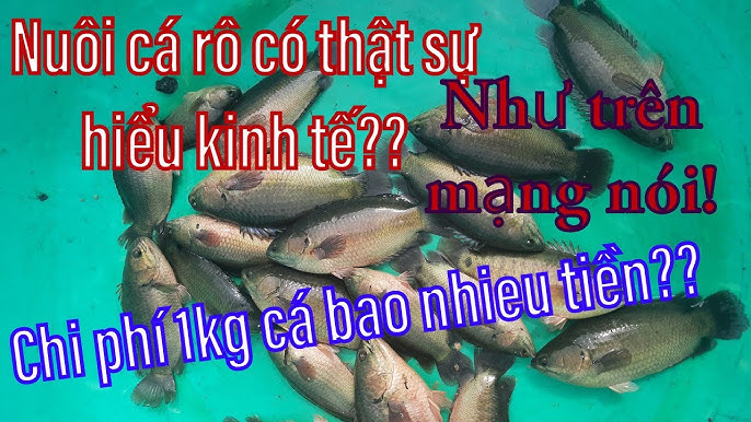 4. Những lợi ích sức khỏe từ món lẩu cá rô