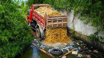 Start a New Project! Landfill on Flooded Area by Dozer D20P Pushing Stone with 5Ton Truck Unloading