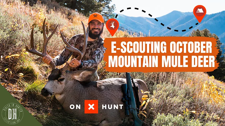 E-Scouting October Mountain Mule Deer