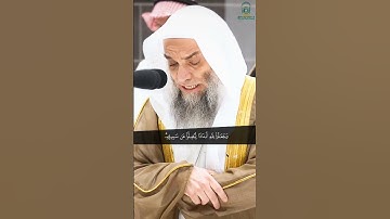 ألم تر إلى الذين بدلوا نعمت الله كفرا ~ تلاوة تحبيرية خاشعة لفضيلة الشيخ د. فيصل غزاوي
