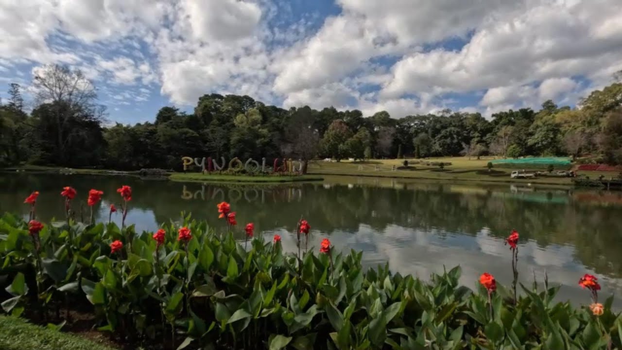 National Kandawgyi Gardens, May Myo