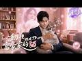 ep13【重生後，我成了富豪家的貓】放棄人類身分，只為最後一刻的守護!為了換他一條命，我自願「永不為人」｜共13集