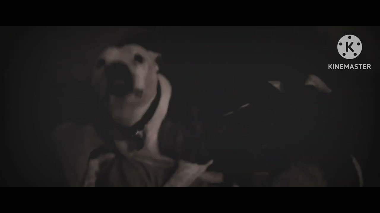 Jonathan Latjo #3 - Halonator Animation 2023