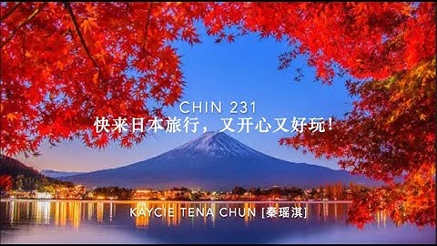 CHIN 231 Final Project: Individual Video Presentation