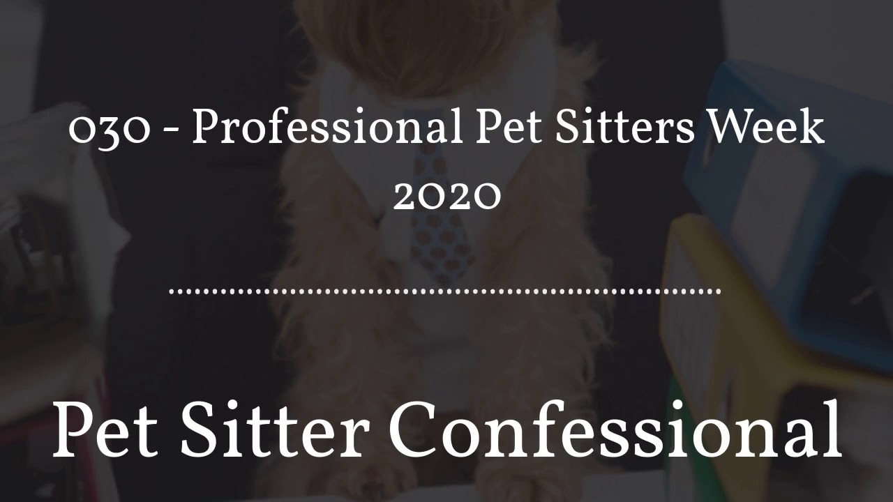 030 Professional Pet Sitters Week 2020 YouTube