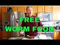 How and What to Feed Your Worms